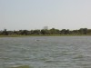 P5190025.jpg