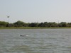 P5190033.jpg